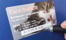 PETカード　イメージ画像